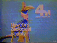 80's television GIF by vhspositive