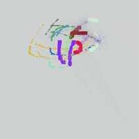 GIF by Boopy Club