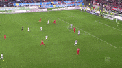 1 fc cologne football GIF by 1. FC Köln