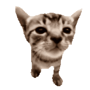 Cat Sticker
