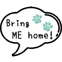 Cat Adopt Sticker by SUPPAWHK