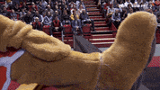 lnb_officiel basket lnb mascotte jeep elite GIF