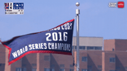 Chicago Cubs Baseball GIF