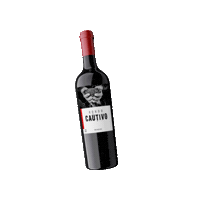 Wine Sticker by Rondo del Valle