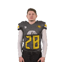 Football Sport Sticker by Krefeld Ravens