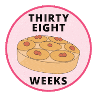 Pregnancy Baby Size Sticker by Bump Boxes
