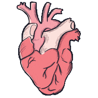 Heart Love Sticker