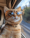 Art Cat GIF