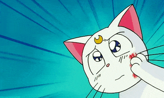 sailor moon artemis GIF