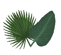 Palm Tree Beach Sticker