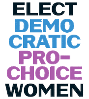 Vote Election Sticker by EMILY's List