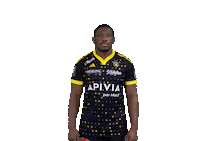 Sport Celebration Sticker by Stade Rochelais