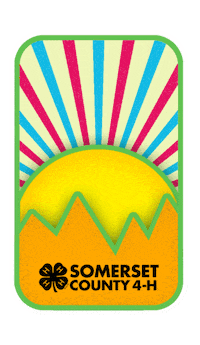Sticker Sunshine Sticker by Somerset County 4-H