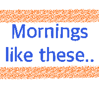 Wake Up Morning Sticker