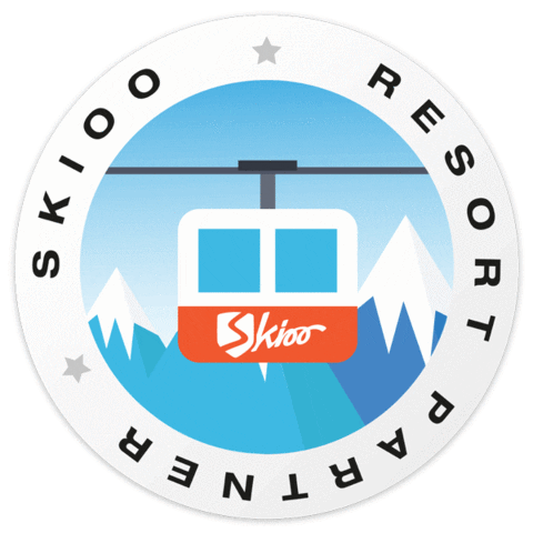 Skioo snow ski skiing stamp Sticker