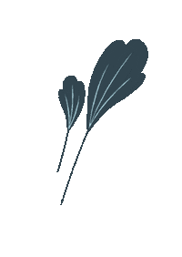 Happy Flower Sticker