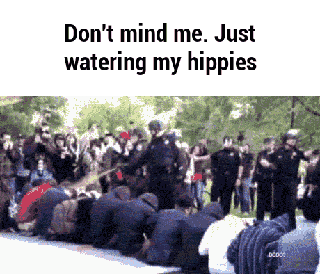 hippies GIF