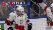 Happy Stanley Cup Playoffs GIF by NHL