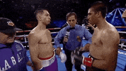toprank boxing fighting espn fighters GIF