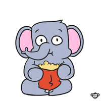 zoogif eating popcorn watching elephant GIF