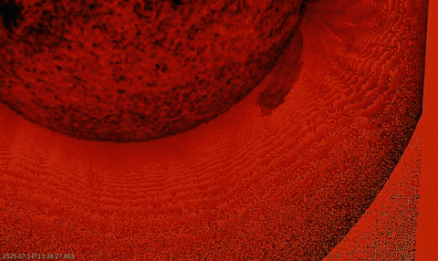 michalkin giphyupload GIF