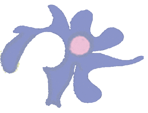 Flower Sticker by Real Love Summer Fest