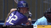 ncaasports ncaa softball washington huskies GIF