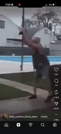gifZINGERRRR nichevid GIF