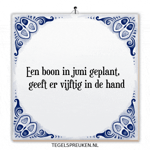 Humor Nl GIF by Tegelspreuken.nl