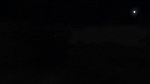 Barrybogs giphyupload GIF