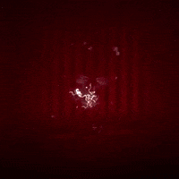 werkself dominikkohr GIF by Bayer 04 Leverkusen