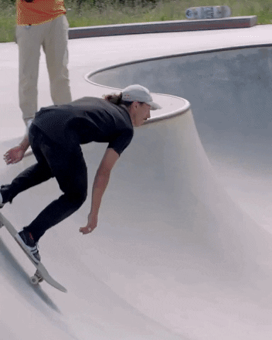 skatesauce giphygifmaker GIF
