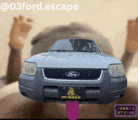 Ford GIF