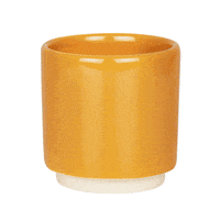 pot plant GIF by dasherzallerliebste