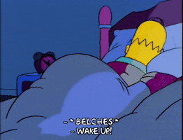 homer simpson episode 3 GIF
