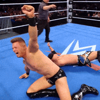 I Win The Miz GIF by WWE