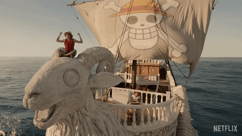 Going Merry One Piece GIF by NETFLIX