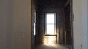 GIF by UnionDocs