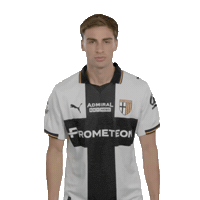Goal Sticker by Parma Calcio 1913