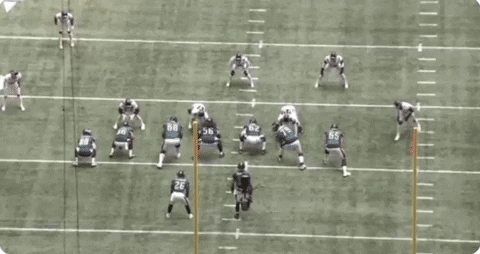 Nfara giphyupload GIF