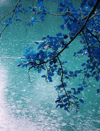 water raining GIF