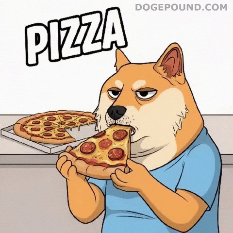 Hungry Shiba Inu GIF by Doge Pound