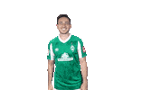 Kevin Möhwald Bundesliga Sticker by SV Werder Bremen