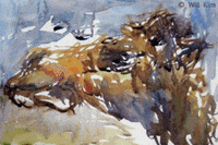 art design GIF by Will Kim