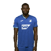 Posing Line Up Sticker by Bundesliga