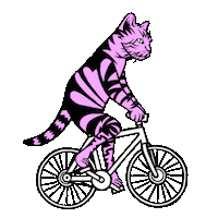 cat bike Sticker