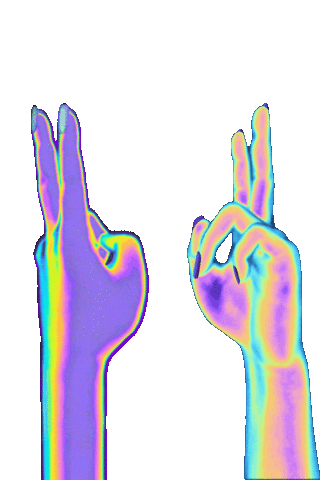 dinaaaaaah peace hands sign dinah Sticker