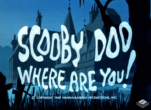 Scooby Doo GIF by Boomerang Official