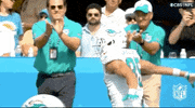 Regular Season Football GIF by NFL