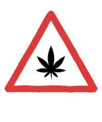 Thc Warning Sticker by commcan